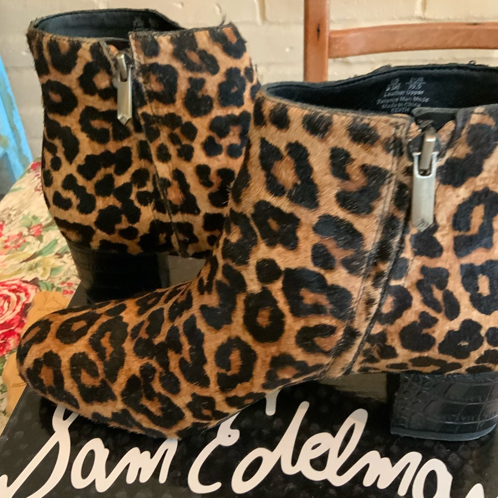 Sam Edelman “Edith” bootie - Picture 8 of 12